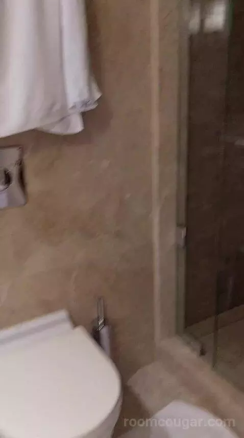 Superior Room (#4002) bathroom picture #7
