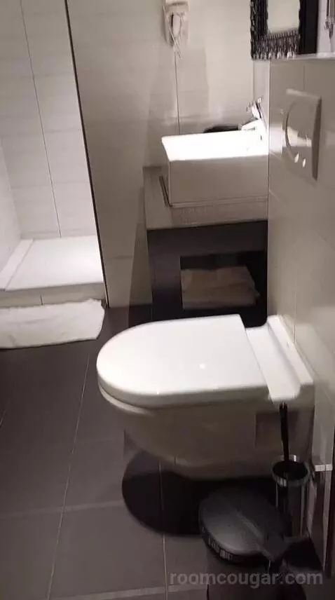 Standard Double Room (#3) bathroom picture #2