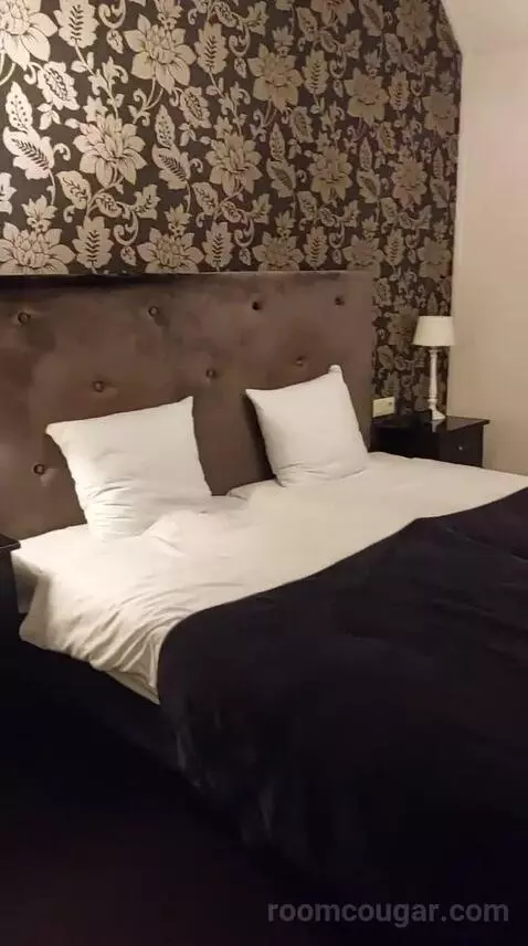 Standard Double Room (#3) bed picture #6