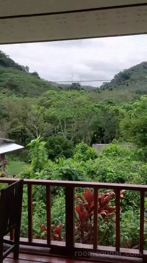 Queen Room with Balcony view picture #7
