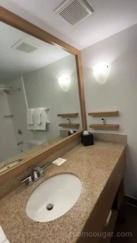 Queen Room with Two Queen Beds (#6711) bathroom picture #3