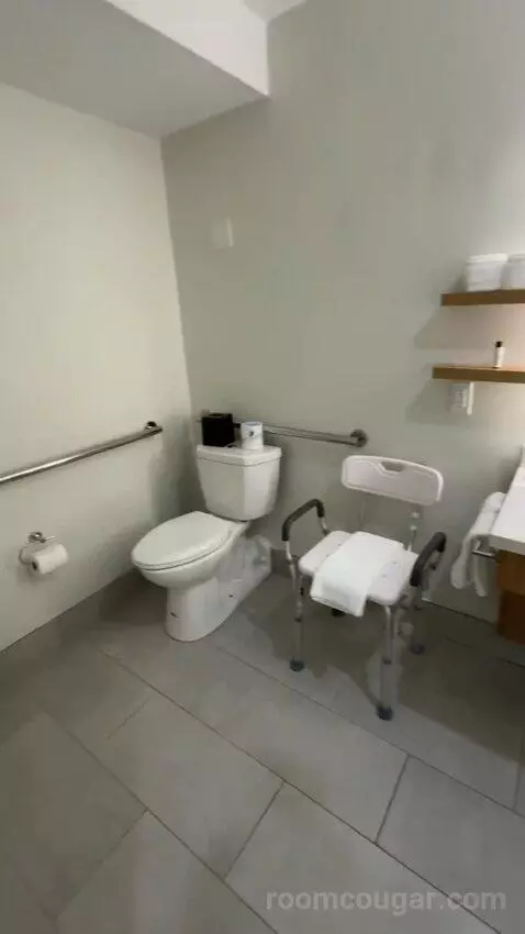 Queen Room with Two Queen Beds and Roll-In Shower - Mobility and Hearing Accessible (#4102) bathroom picture #7