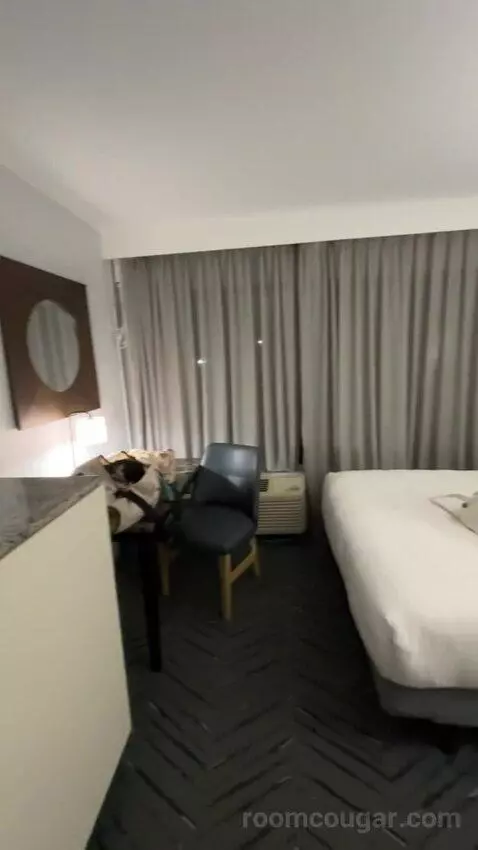 Queen Room with Two Queen Beds and Roll-In Shower - Mobility and Hearing Accessible (#4102) bed picture #10