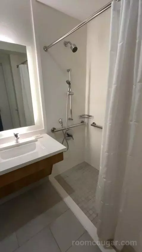 Queen Room with Two Queen Beds and Roll-In Shower - Mobility and Hearing Accessible (#4102) bathroom picture #5
