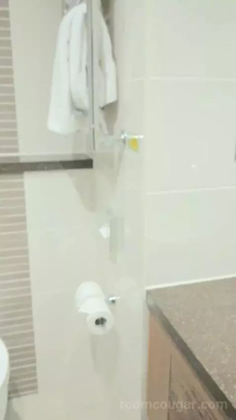 Standard bathroom picture #1
