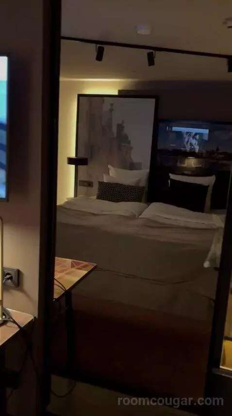 King Sleep Without Window bed picture #3