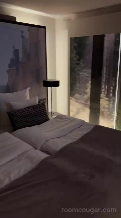 King Sleep Without Window bed picture #7