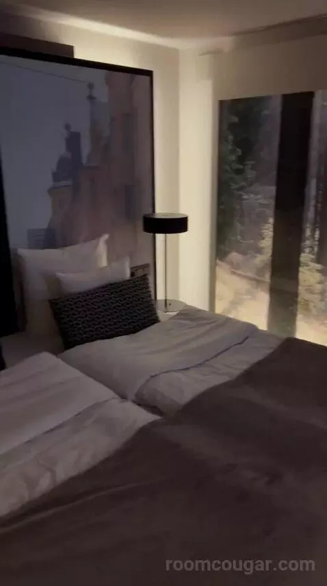 King Sleep Without Window bed picture #8