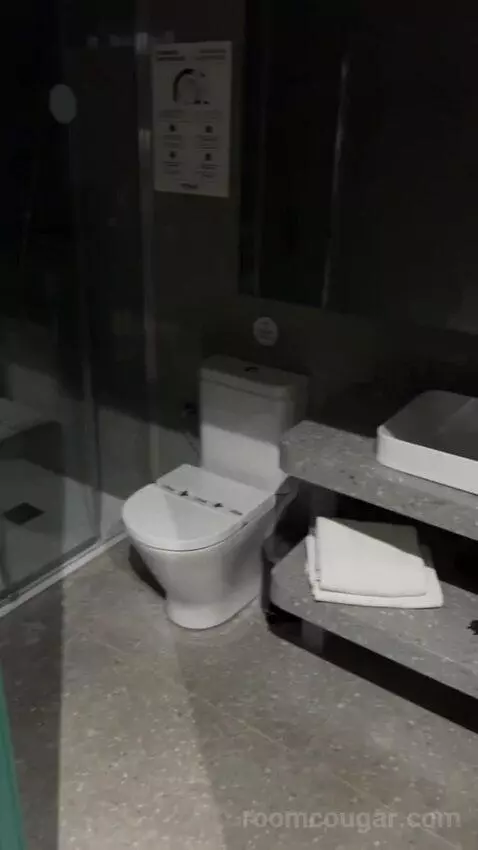 Double Room bathroom picture #4