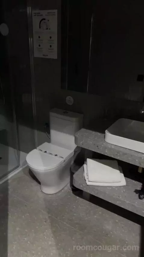 Double Room bathroom picture #5