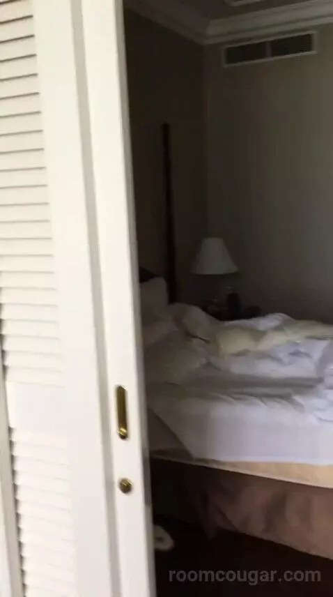 Superior Suite bed picture #5
