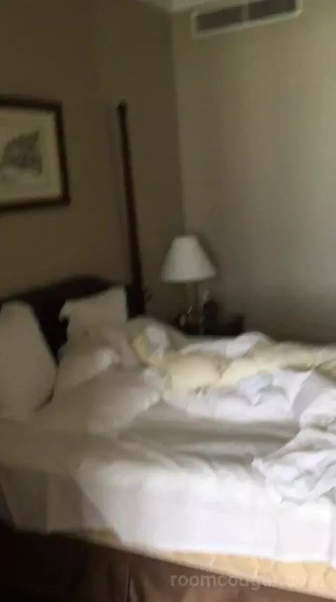 Superior Suite bed picture #7