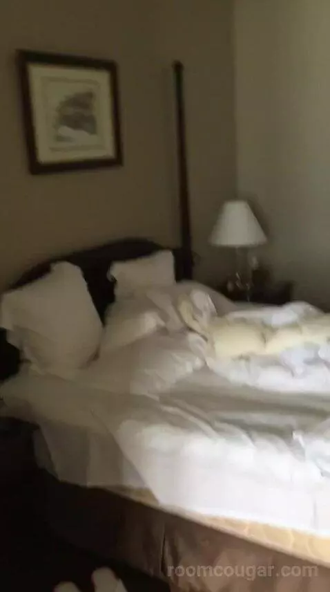 Superior Suite bed picture #8