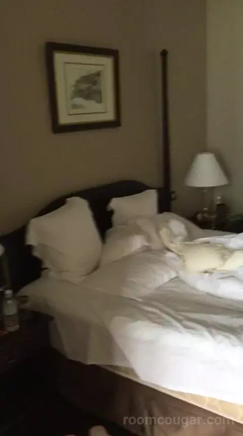 Superior Suite bed picture #9