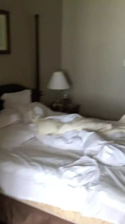 Superior Suite bed picture #10