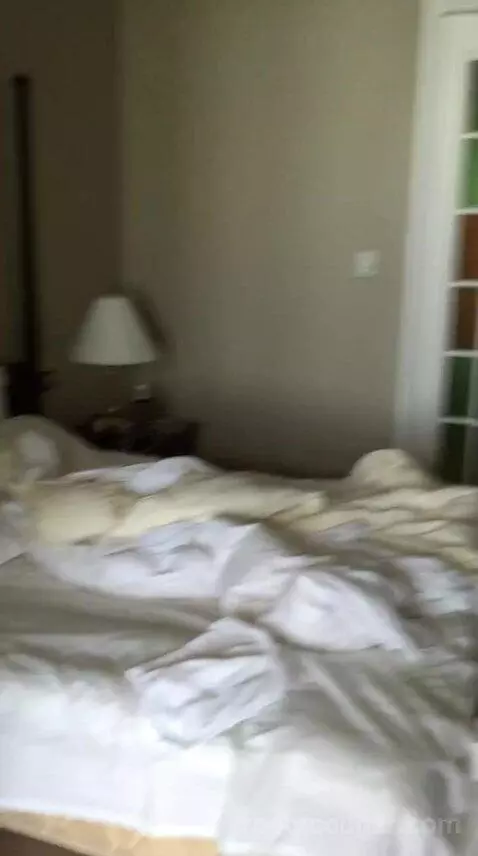Superior Suite bed picture #11