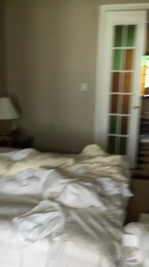 Superior Suite bed picture #12