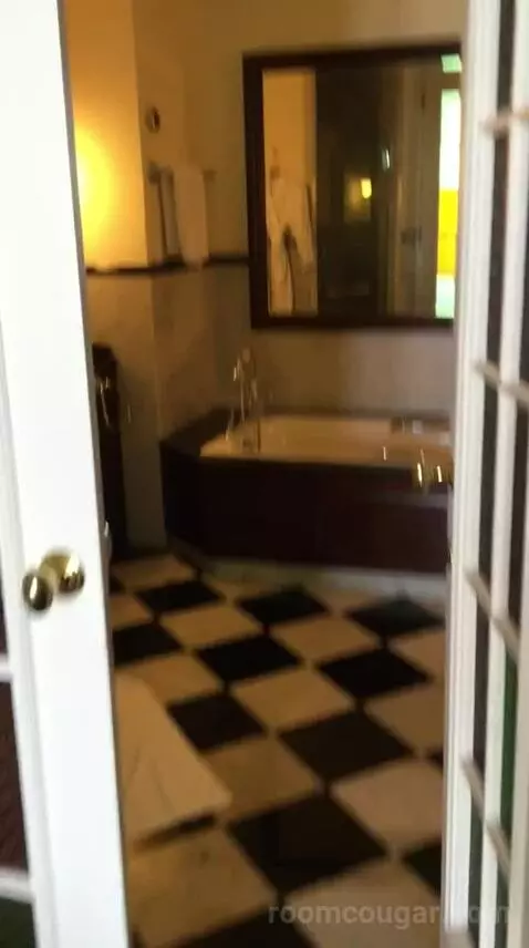 Superior Suite bathroom picture #2