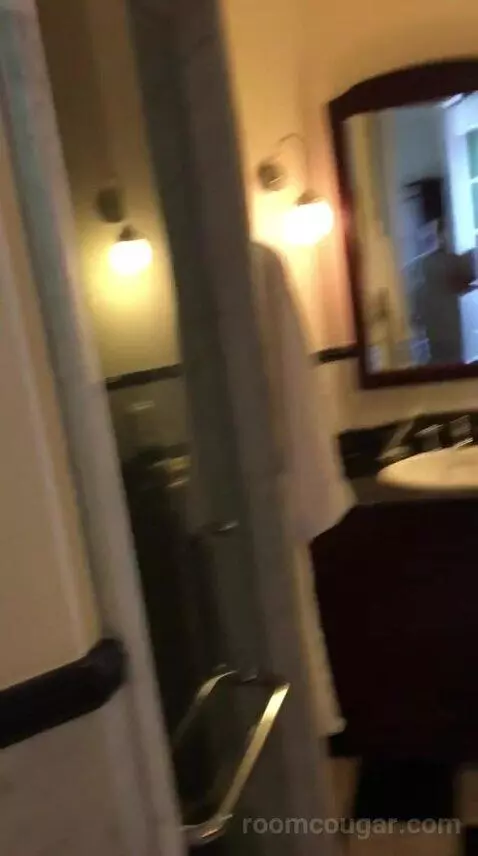 Superior Suite bathroom picture #5