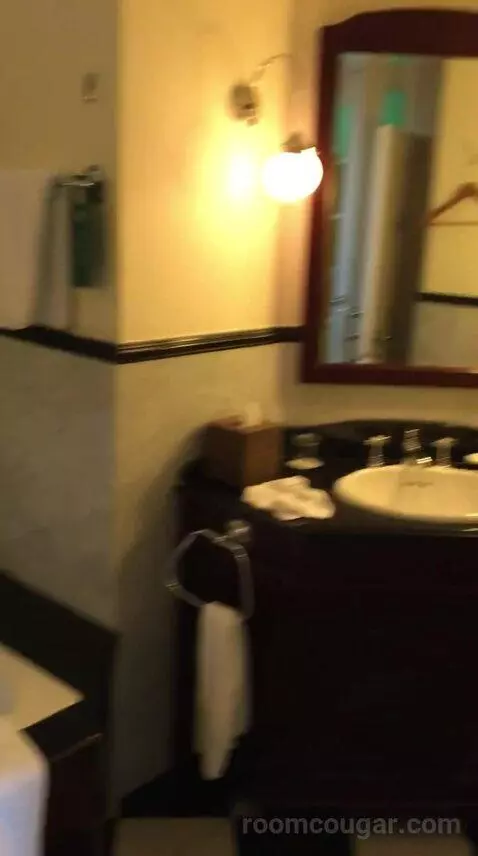Superior Suite bathroom picture #10