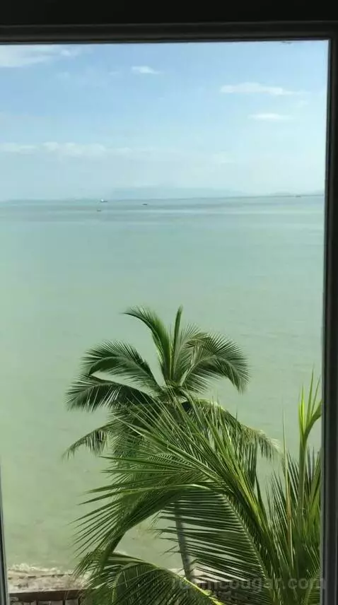 Superior Suite view picture #4