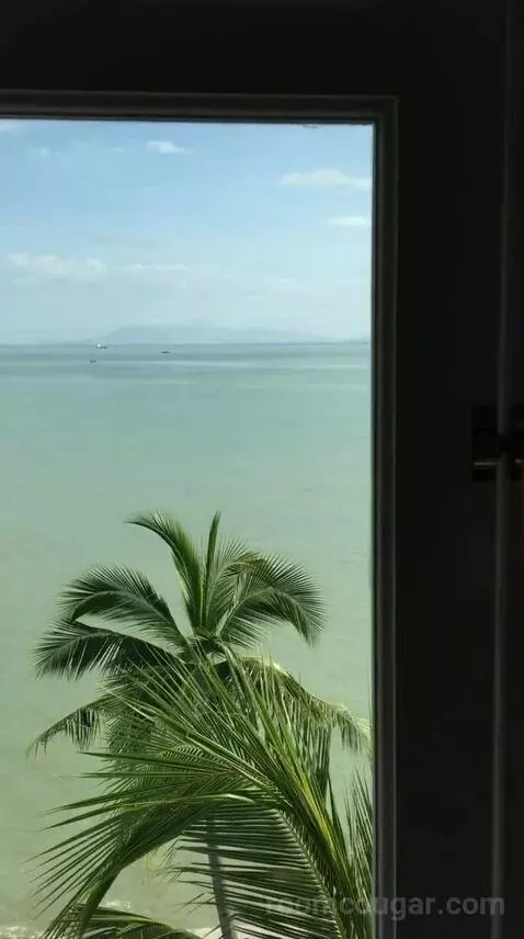 Superior Suite view picture #6