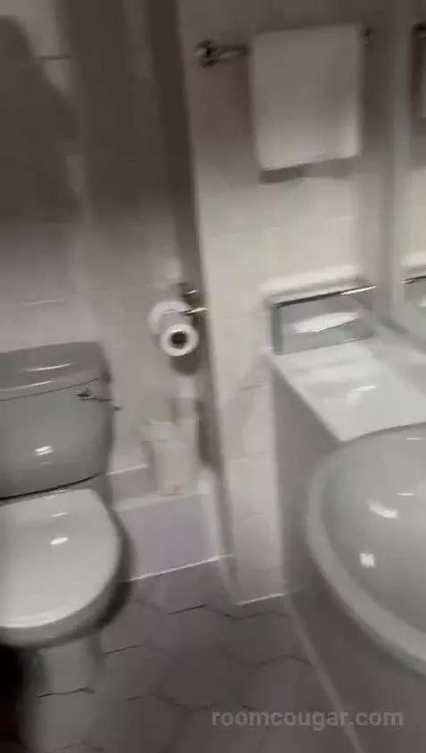 Standard Double Room bathroom picture #5
