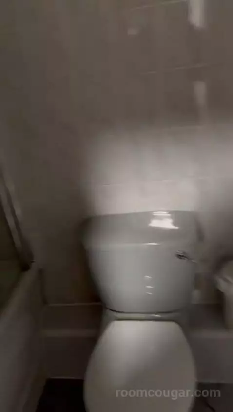 Standard Double Room bathroom picture #6