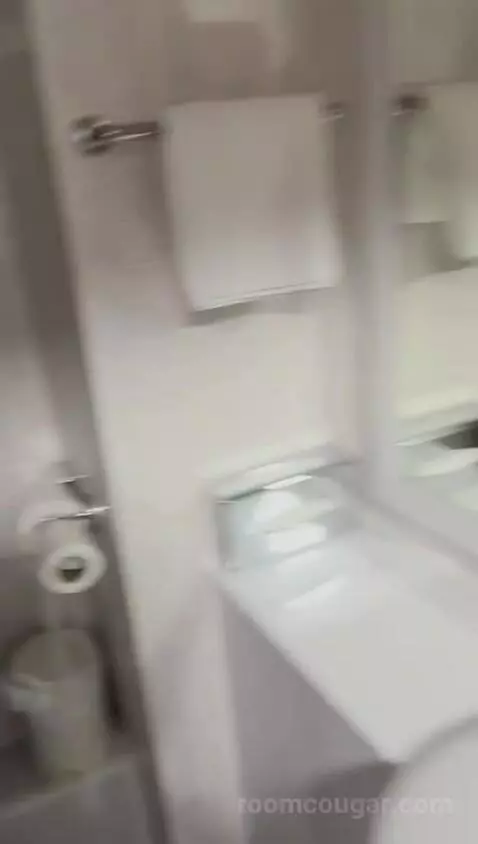 Standard Double Room bathroom picture #8
