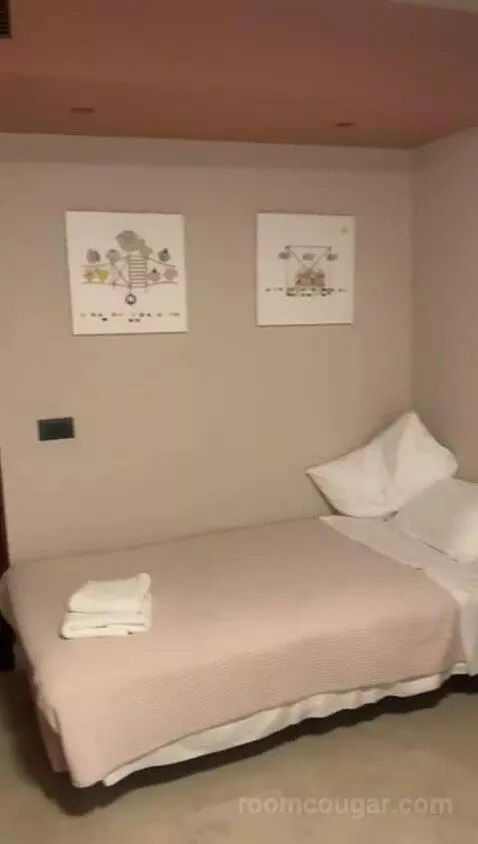 Twin Room with Balcony bed picture #7