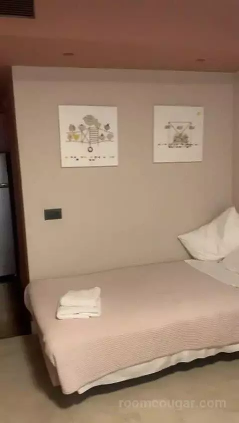 Twin Room with Balcony bed picture #8