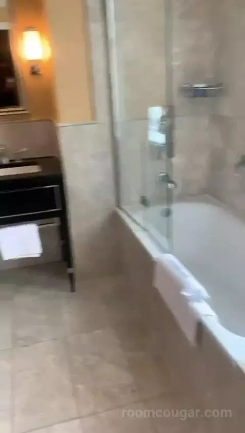 Executive Double Room bathroom picture #3
