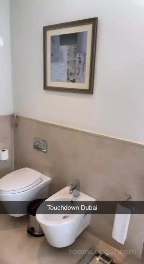 One-Bedroom Apartment bathroom picture #6