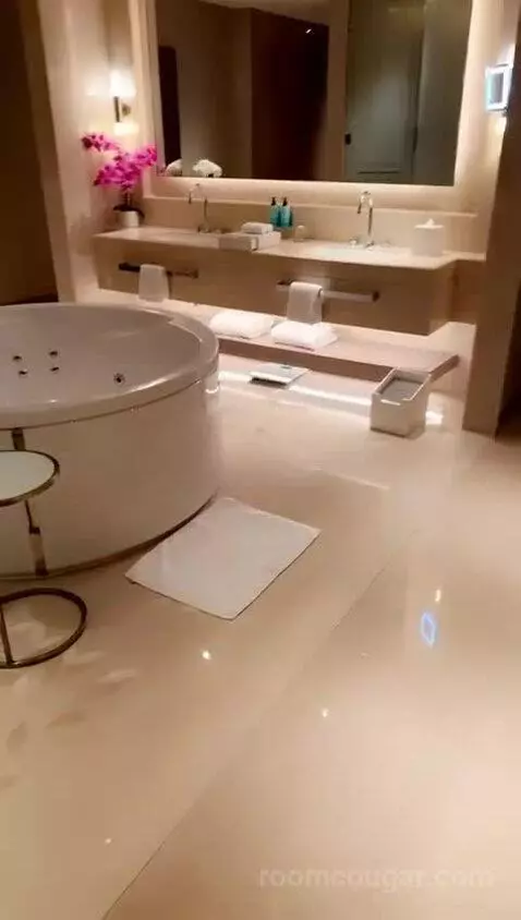 Generous One Bedroom Suite bathroom picture #1