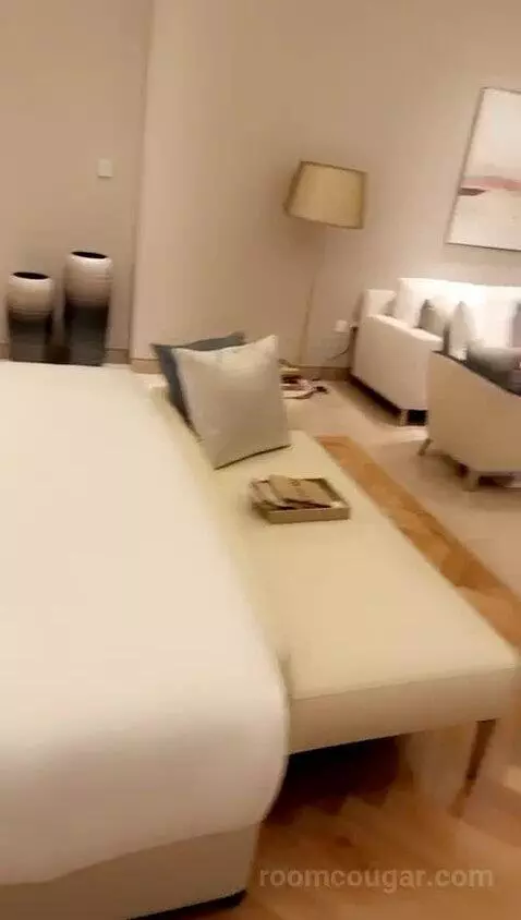 Generous One Bedroom Suite picture #7