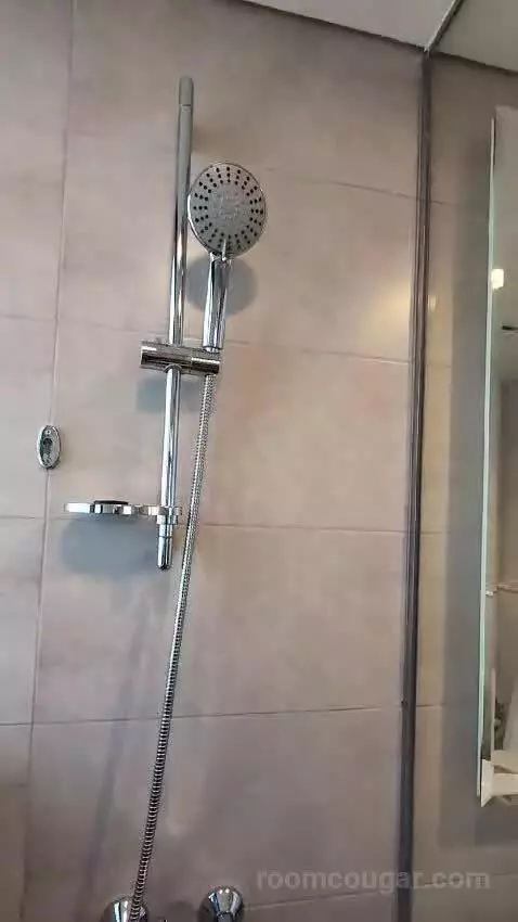 1 Bedroom City View bathroom picture #4