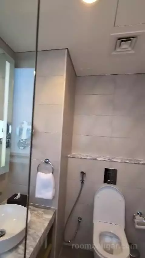 1 Bedroom City View bathroom picture #7