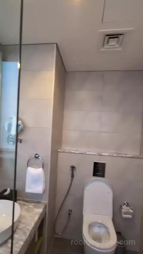 1 Bedroom City View bathroom picture #8