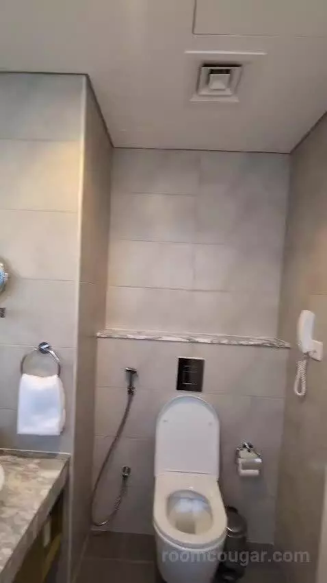 1 Bedroom City View bathroom picture #10