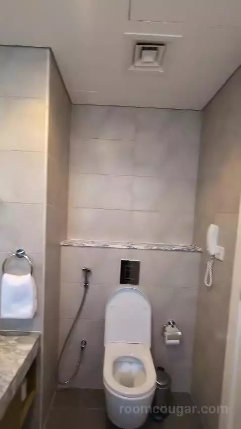 1 Bedroom City View bathroom picture #11