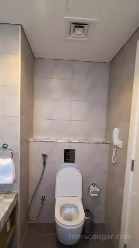 1 Bedroom City View bathroom picture #12