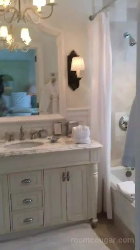 Jr Suite bathroom picture #3