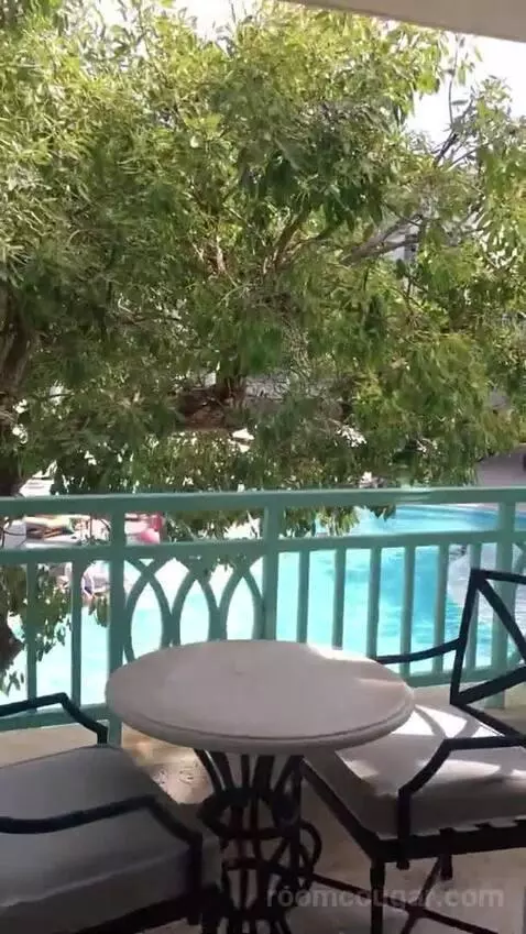Jr Suite view picture #8