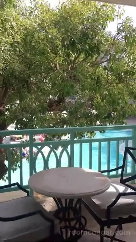 Jr Suite view picture #9