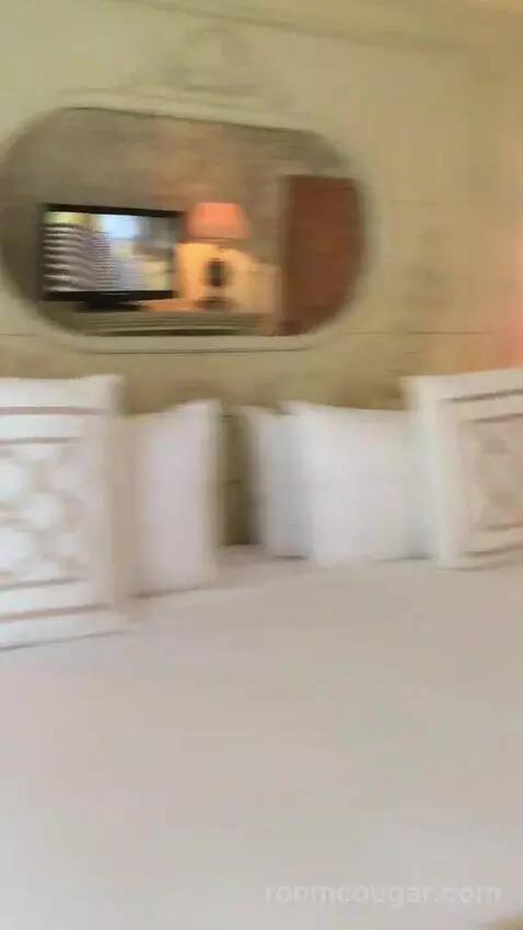 Jr Suite picture #19