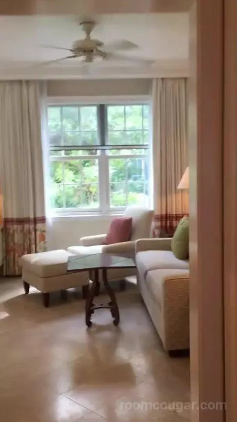 Jr Suite picture #3
