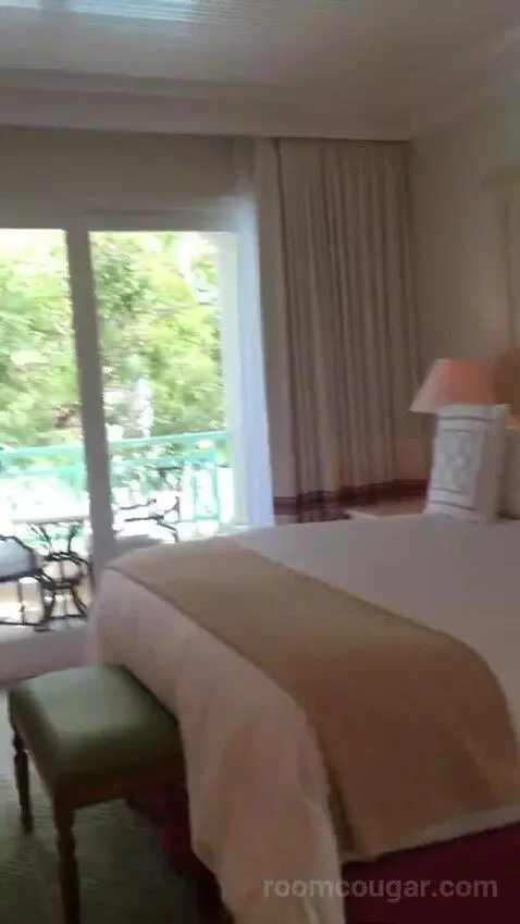 Jr Suite bed picture #6
