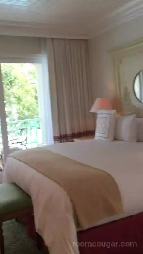 Jr Suite picture #7