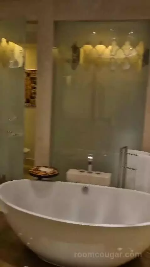 Palm Beach Junior Suite bathroom picture #7