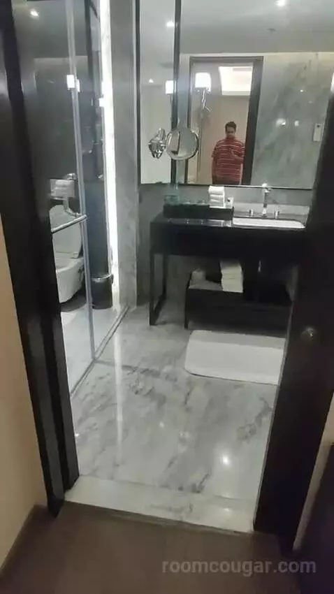 Jr Suite bathroom picture #2